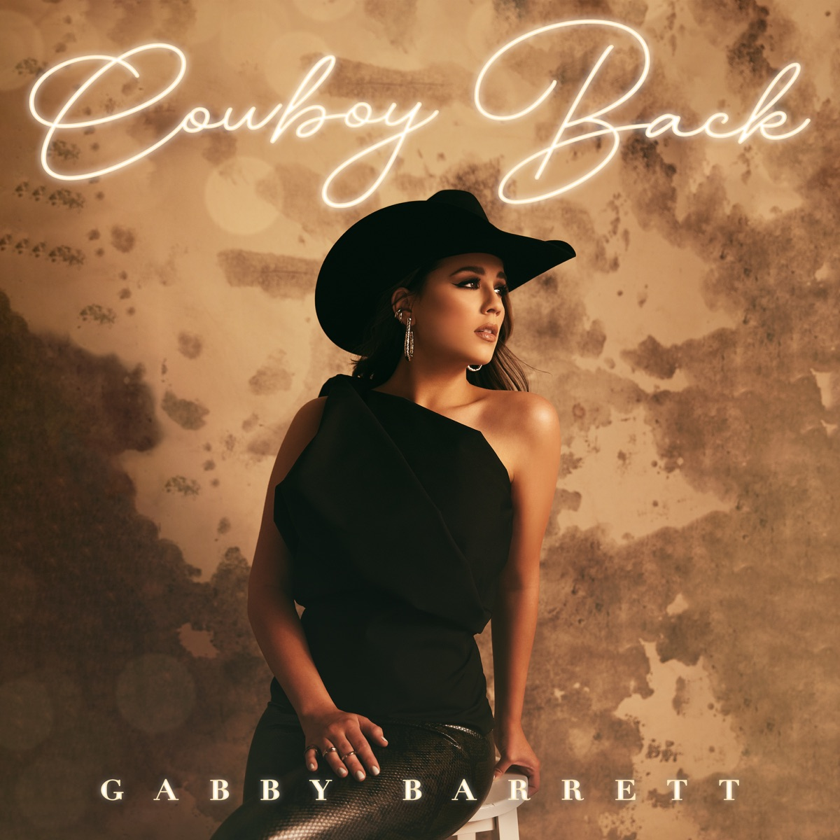 Gabby Barrett Cowboy Back Mp3 Download