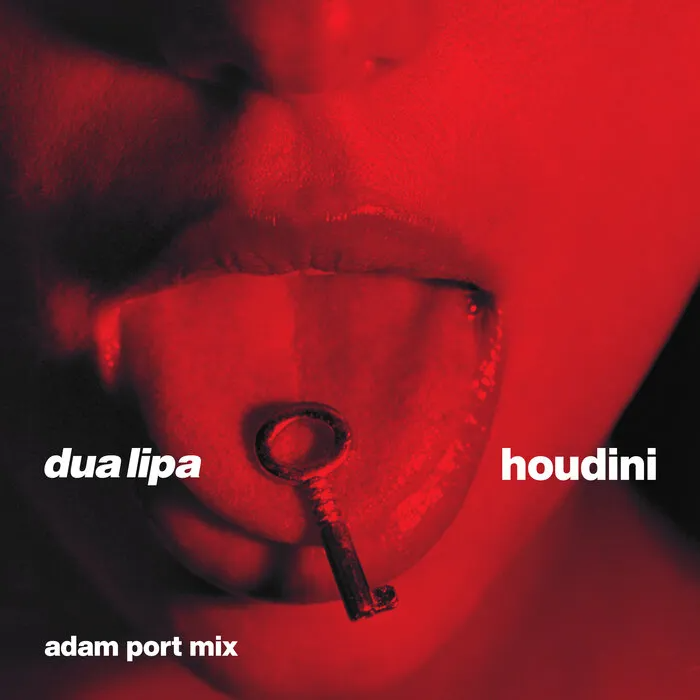 Dua Lipa Houdini (Adam Port Mix) Mp3 Download